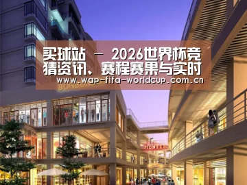 案例展示一(图1)