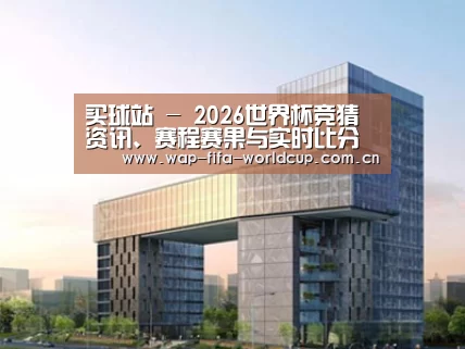 案例展示四