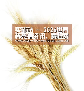 买球站 - 2026世界杯竞猜资讯、赛程赛果与实时比分