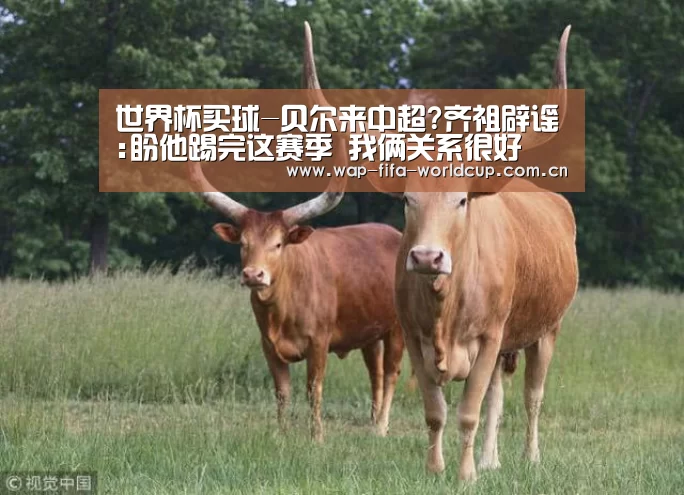 世界杯竞猜