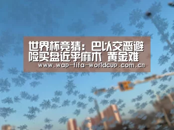 买球站
