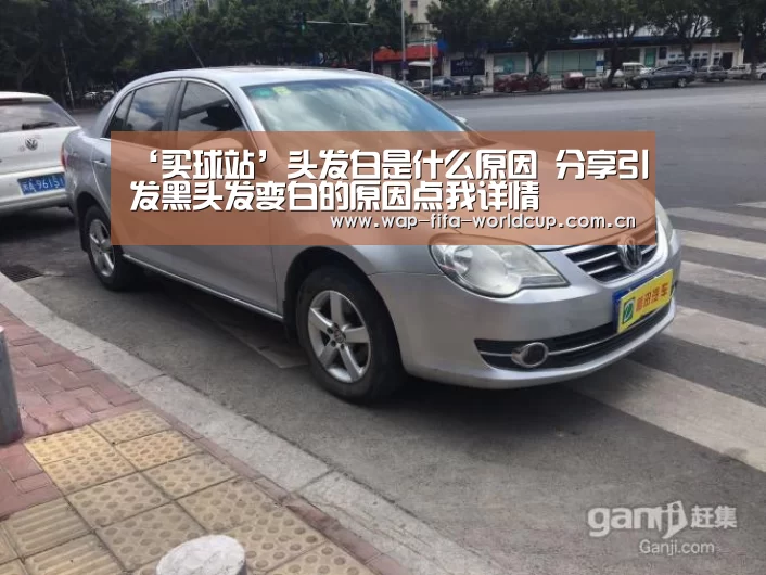 世界杯买球